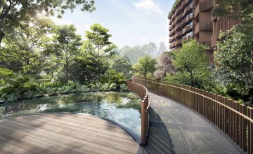 lentor-hill-residences-water-hyacinth-pond-singapore